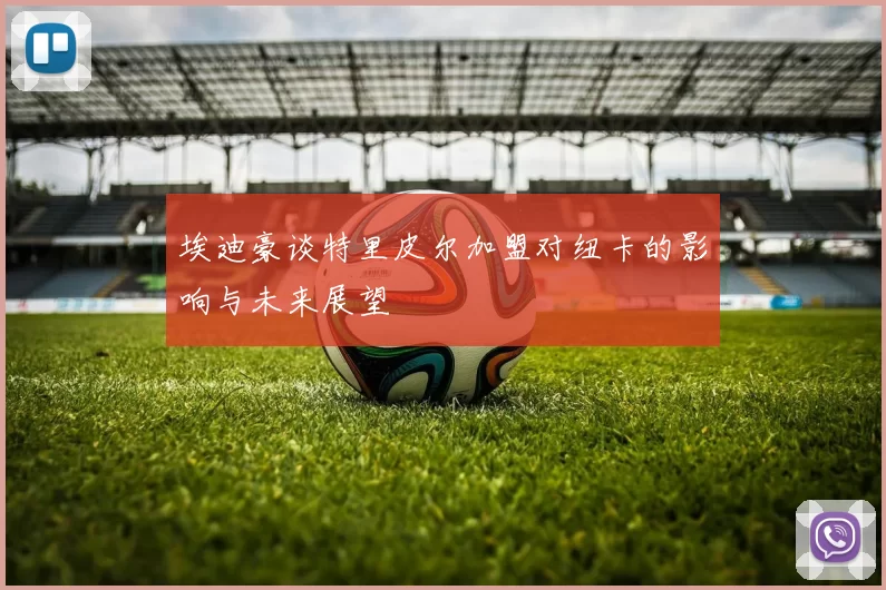 埃迪豪谈特里皮尔加盟对纽卡的影响与未来展望